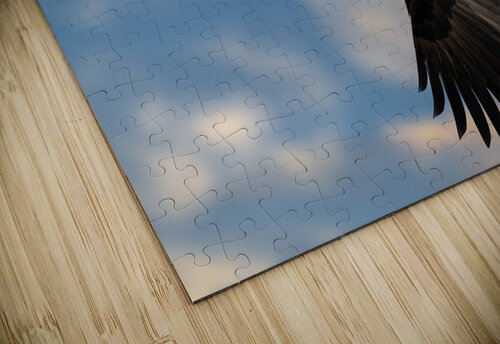 DSC01790 Edit Edit Razak Photography puzzle