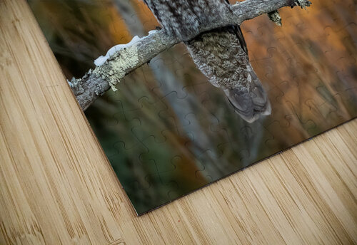 DSC08737 2 Edit Razak Photography puzzle