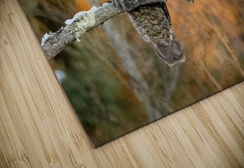 DSC08735 2 Edit Razak Photography puzzle