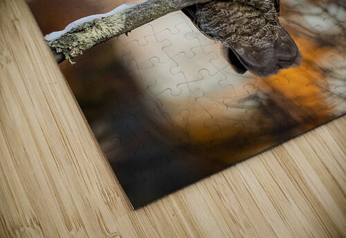 DSC08652 2 Edit 2 5 Razak Photography puzzle