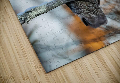 DSC08676 2 Edit 3 Razak Photography puzzle