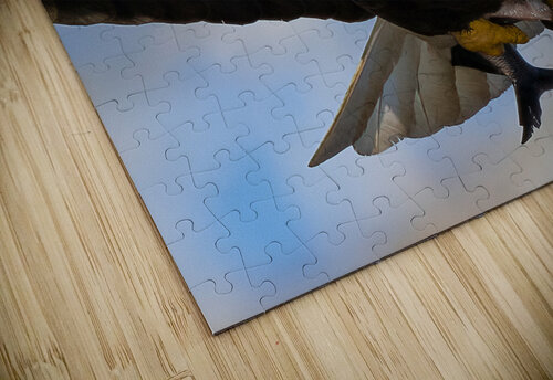 DSC09983 Edit 8 Razak Photography puzzle