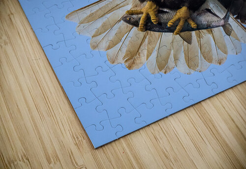 DSC08396 Edit 6 Razak Photography puzzle