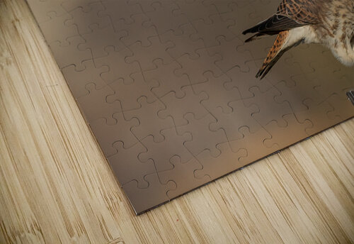 DSC00999 Edit 2 Razak Photography puzzle