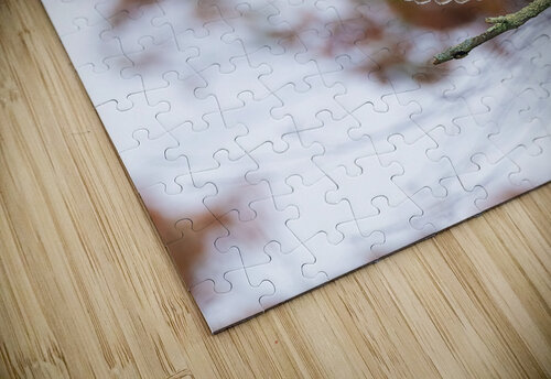 DSC00030 Edit 3 Razak Photography puzzle