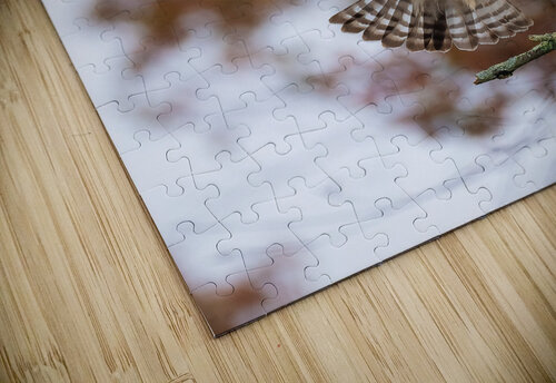 DSC00026 Edit 3 Razak Photography puzzle