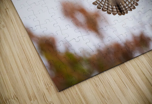DSC00020 Edit 3 Razak Photography puzzle