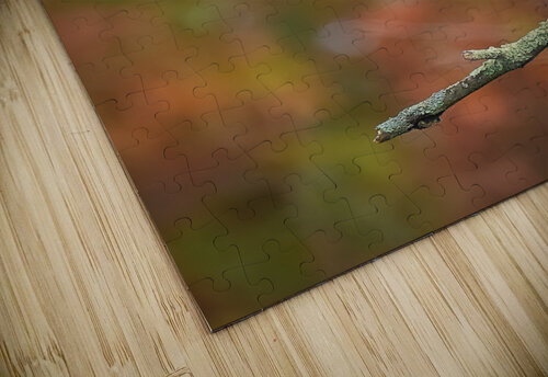 DSC00071 Edit 3 Razak Photography puzzle