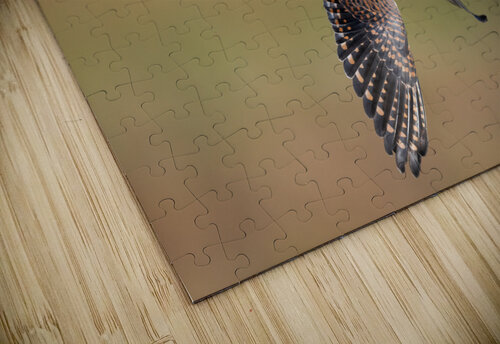 DSC06931 Edit 2 Razak Photography puzzle