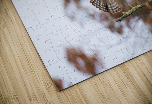 DSC00026 Edit 2 Razak Photography puzzle