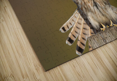DSC09947 Edit 6 Razak Photography puzzle