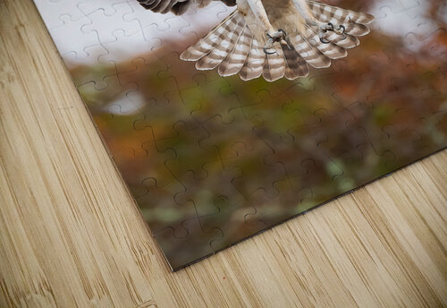 DSC00017 Edit 3 Razak Photography puzzle