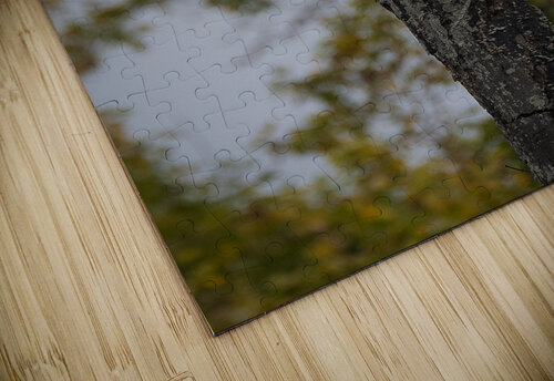 DSC04382 Edit Razak Photography puzzle