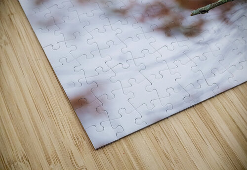 DSC00027 Edit 3 Razak Photography puzzle