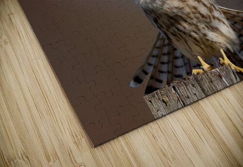 DSC08015 Edit  Razak Photography puzzle