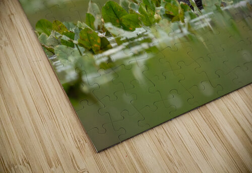 DSC03937 Edit Razak Photography puzzle