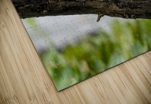 DSC05536 Edit Razak Photography puzzle