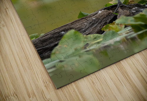 DSC04361 Edit 4 Razak Photography puzzle