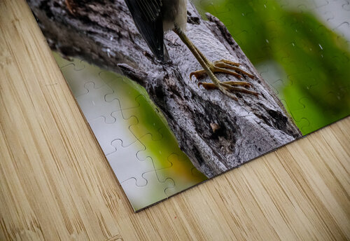 DSC05184 Edit Razak Photography puzzle