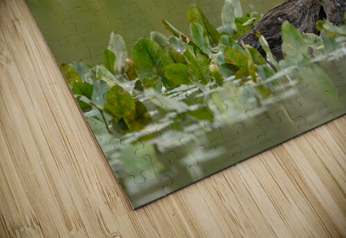 DSC03831 Edit Razak Photography puzzle