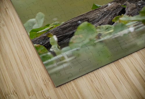 DSC03831 Edit 4 Razak Photography puzzle