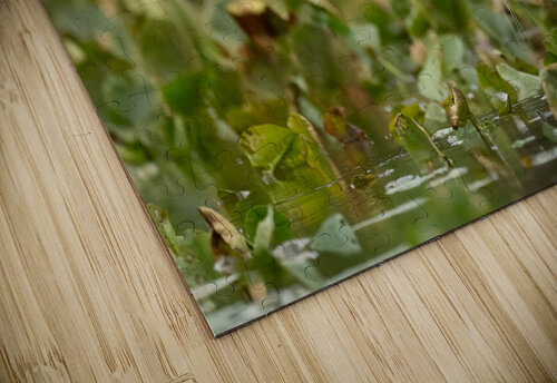 DSC03760 Edit Razak Photography puzzle