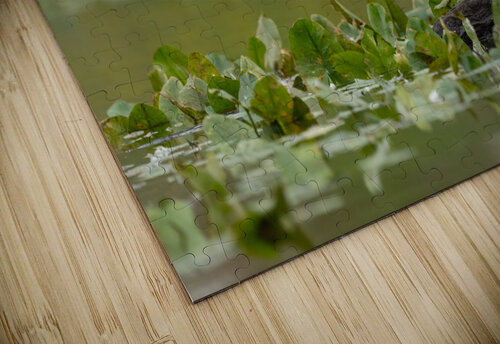 DSC04309 Edit Razak Photography puzzle