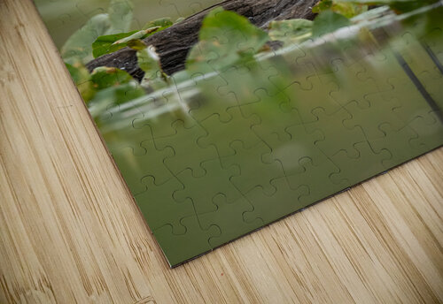 DSC03937 Edit 4 Razak Photography puzzle