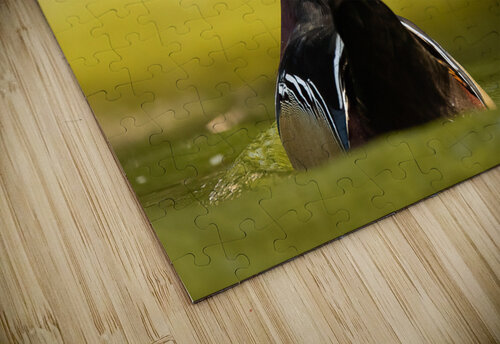 DSC04013 Edit Razak Photography puzzle