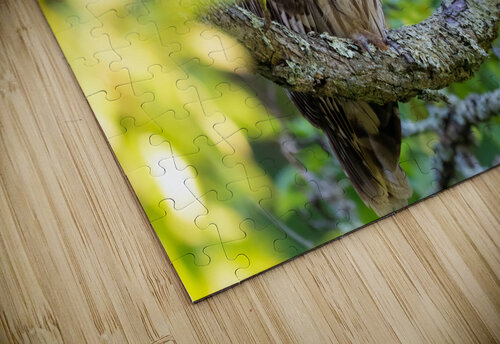 DSC09176 Edit 2 Razak Photography puzzle
