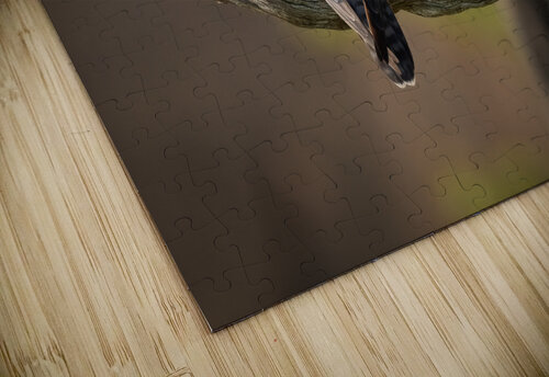 DSC06132 Edit Razak Photography puzzle