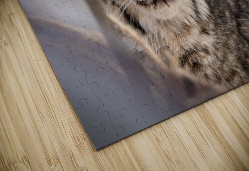 DSC09703 Edit Razak Photography puzzle