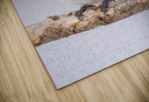 DSC00005 Edit Razak Photography puzzle