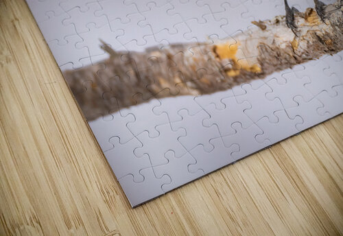 DSC00069 Edit Razak Photography puzzle