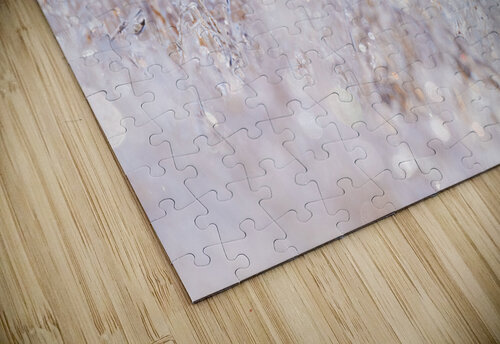 DSC01942 Edit Razak Photography puzzle