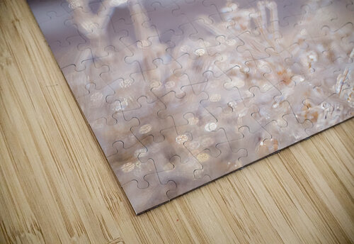 DSC01941  Razak Photography puzzle