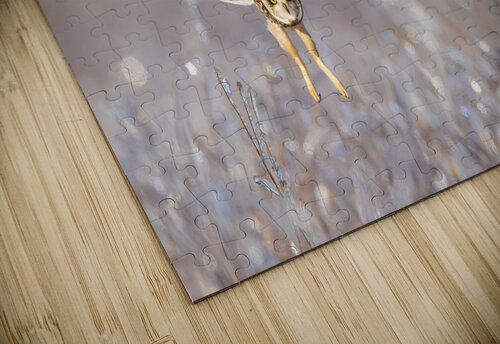 DSC07486  Razak Photography puzzle