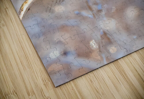 DSC07494  Razak Photography puzzle