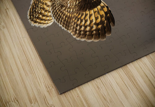 DSC07431  Razak Photography puzzle