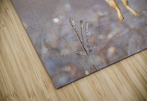 DSC07486 Razak Photography puzzle