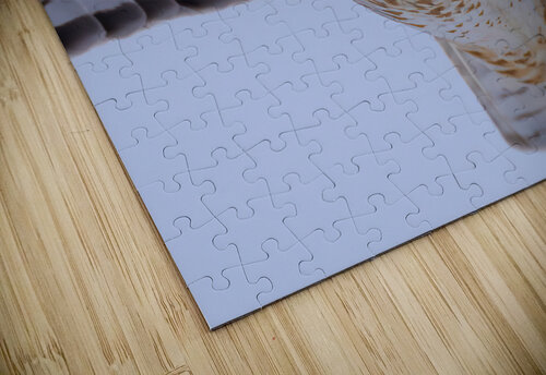 DSC06365  Razak Photography puzzle