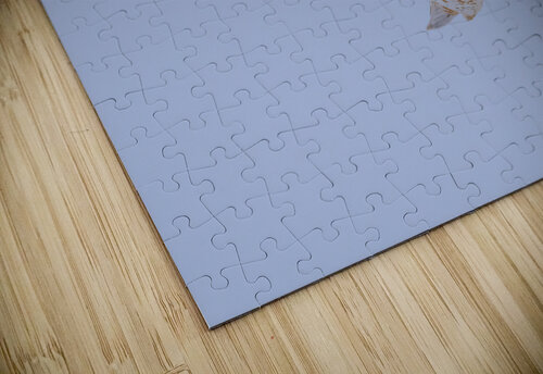 DSC06336  Razak Photography puzzle