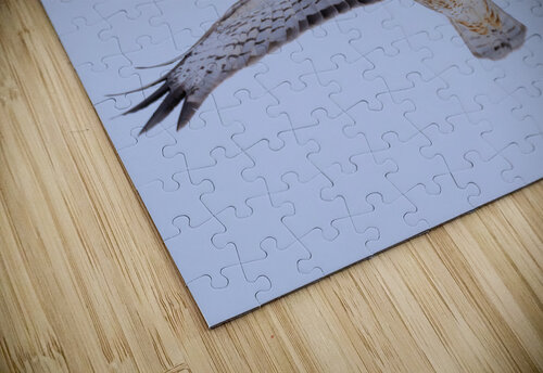 DSC06365 i Razak Photography puzzle