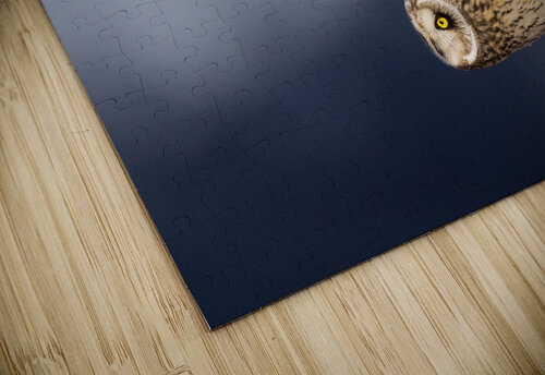 DSC03280  Razak Photography puzzle