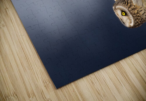 DSC03280 Razak Photography puzzle