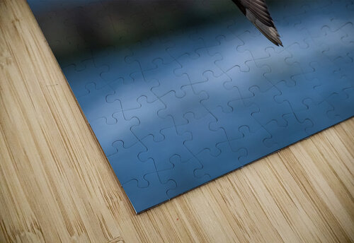 DSC03876  Razak Photography puzzle