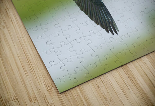 DSC09406 Edit 3 Razak Photography puzzle