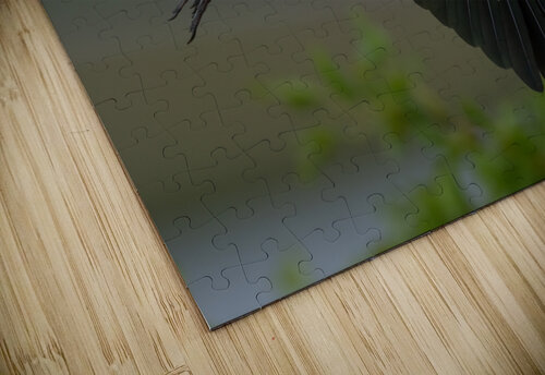 DSC07215 Edit Razak Photography puzzle