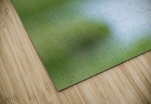 DSC09405 Edit Razak Photography puzzle