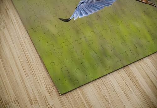 DSC08583 Edit Razak Photography puzzle